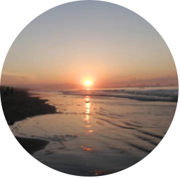 飞鹿国际旅行社 总经理